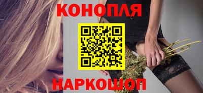 гидра Кингисепп