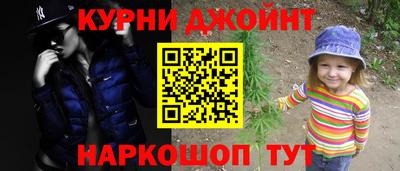 гидра Кингисепп