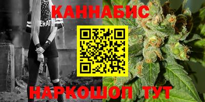 гидра Кингисепп