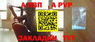 гидра Кингисепп