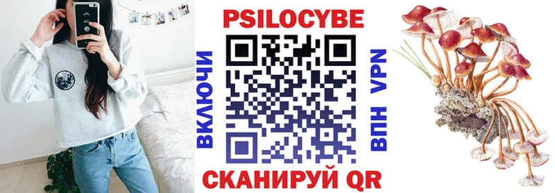 кракен ONION  Унеча  Псилоцибиновые грибы Psilocybine cubensis  darknet какой сайт  как найти закладки 