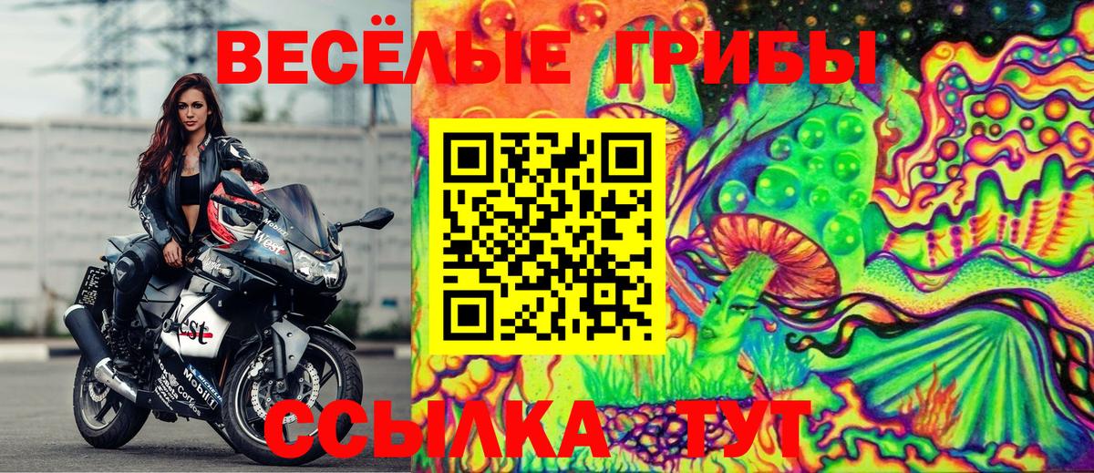 Галлюциногенные грибы MAGIC MUSHROOMS  Унеча  Галлюциногенные грибы MAGIC MUSHROOMS 