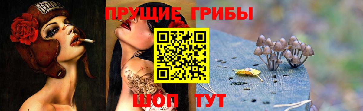 Унеча  Псилоцибиновые грибы GOLDEN TEACHER  купить закладку  Вход с VPN 